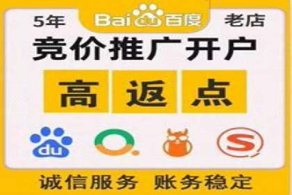 谷歌竞价广告在电商行业的运用案例